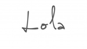 Lola DIY Party Tips signature gray
